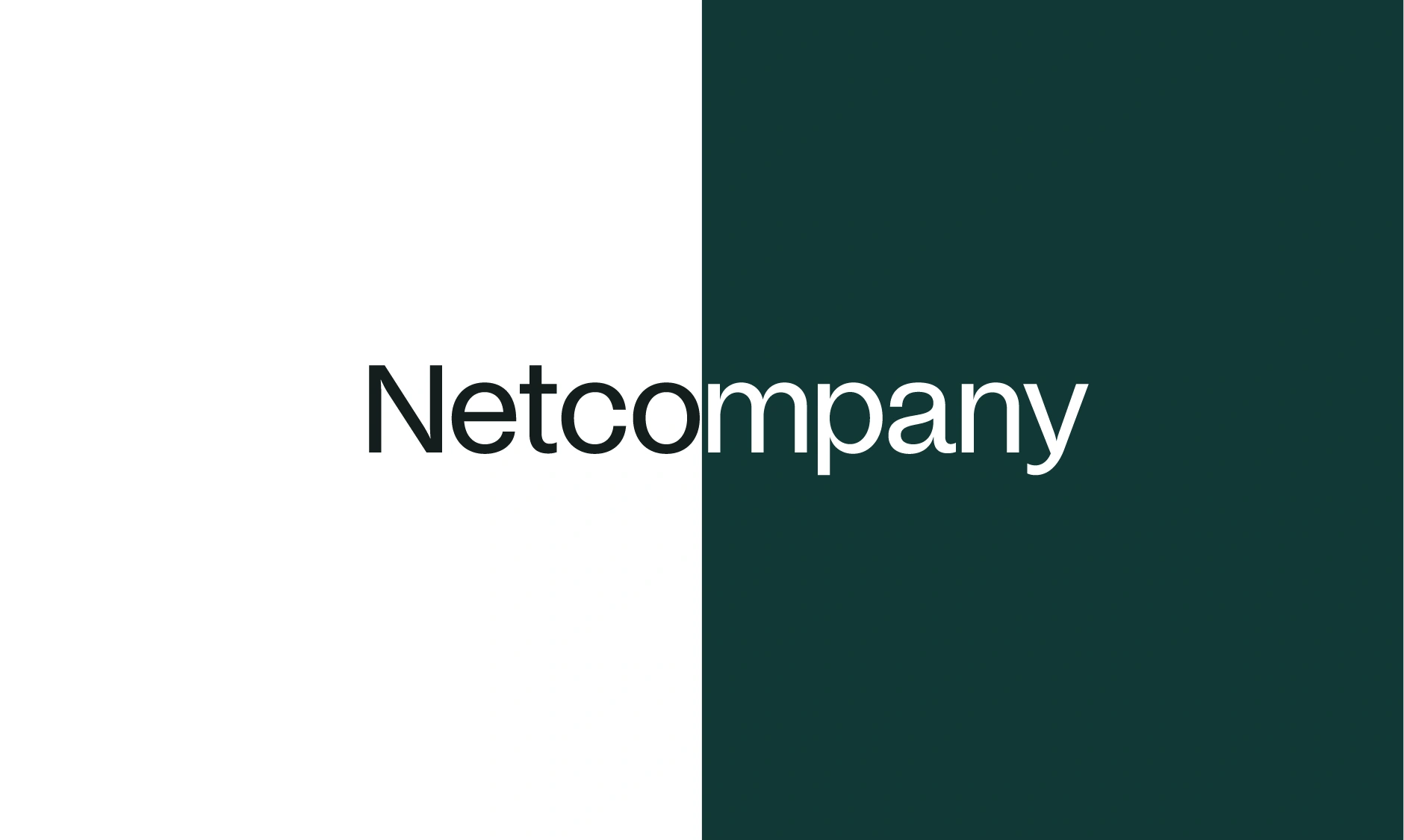 Home - IVLF 34 Netcompany