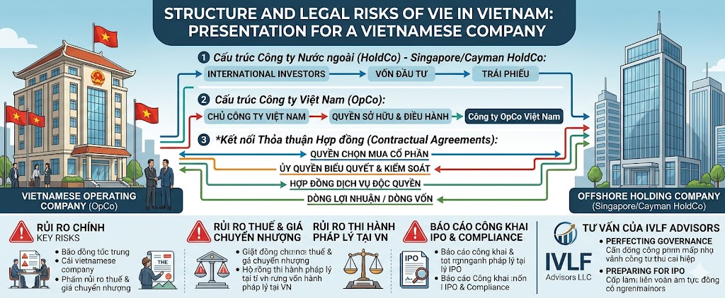 VIE Structure