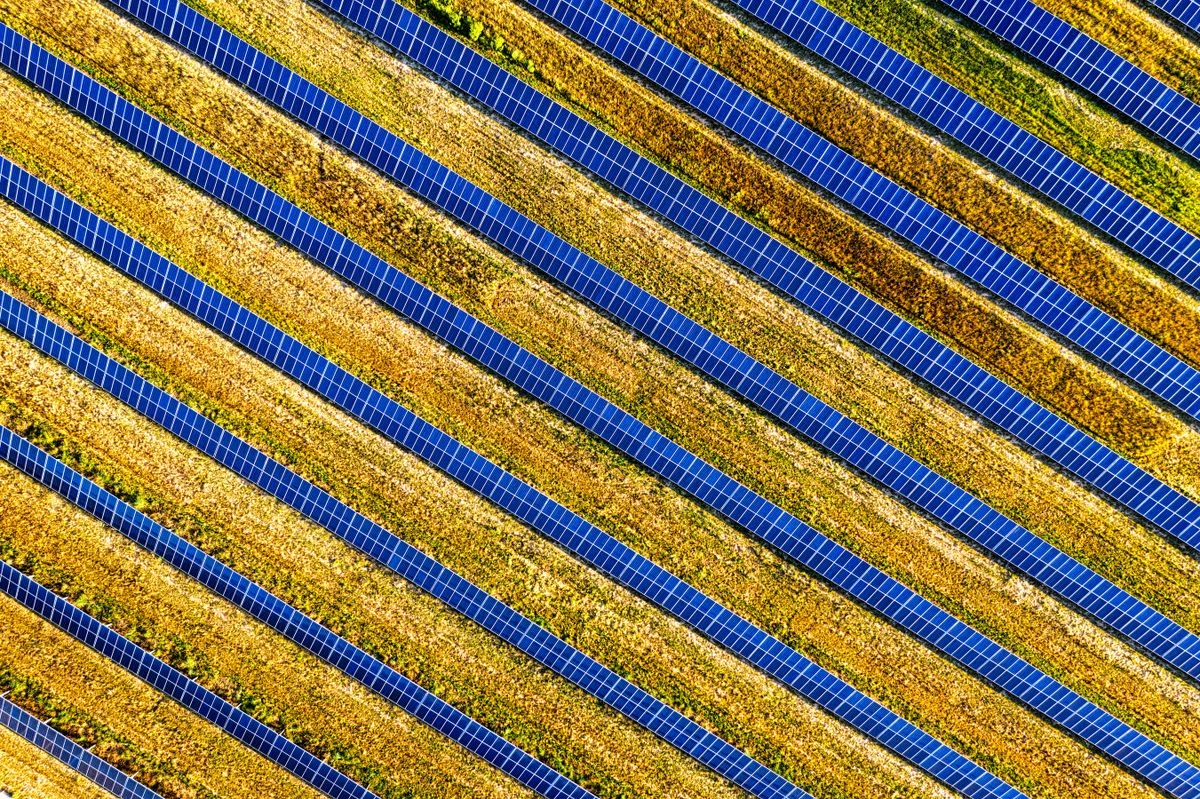 Renewable energy projects in Vietnam: solar farm panels