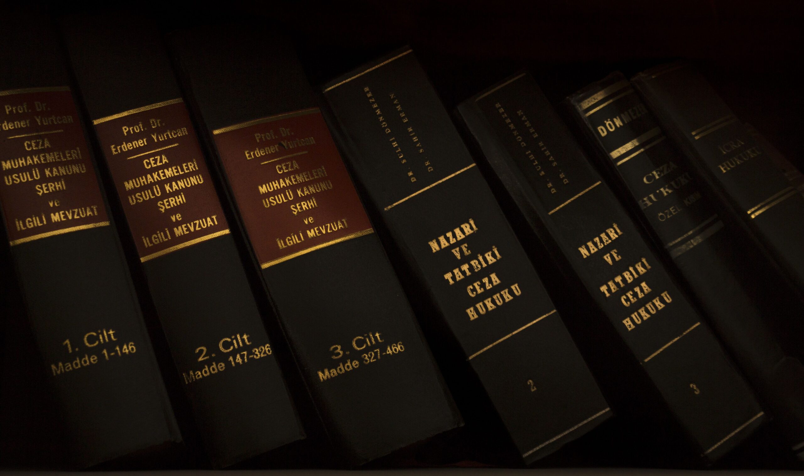 Information rights and access to company accounting books for minority shareholders