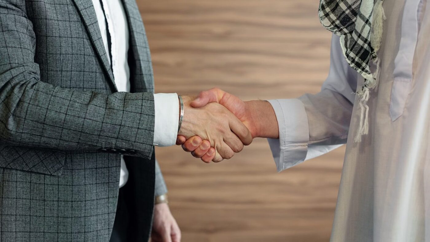 Earn-Out and VAM: Two Bridging Mechanisms for Valuation Gaps in M&A