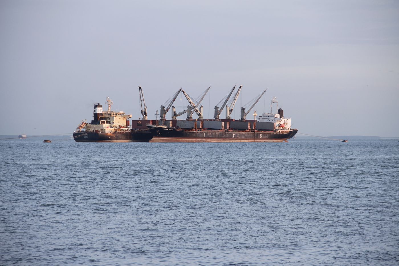 shipping company acquisition Vietnam and shipping risk